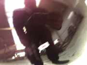 Stoßstange Hinten NDYW5022X8P Mazda MX-5 (NB18/35/8C) Cabrio 1.8i 16V SV-T (BP6J)