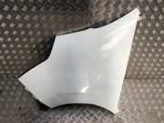 Kotfl?gel Links Vorne 631013304R Renault Master III (FV) Van 2.3 dCi 125 16V FWD (M9T-710)