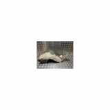 Innenkotflügel Links Vorne 7136CX Peugeot 206 (2A/C/H/J/S) Schrägheck 1.9 D (DW8(WJZ)) 2000