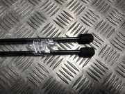 Gasdruckfeder Hinten 2284725 Ford Focus 4 Schrägheck 1.5 EcoBlue 120 (ZTDA)