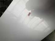 Heckklappe 901007547R Renault Megane IV (RFBB) Schrägheck 5-drs 1.5 Energy dCi 110 (K9K-657)