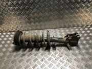 Federbein Links Vorne 8200868516 Renault Kangoo/Grand Kangoo (KW) Gro?raumlimousine 1.5 dCi 105 (K9K-804)