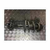 Federbein Rechts Vorne 543029600R Dacia Sandero II Schrägheck 0.9 TCE 12V (H4B-410) 2020