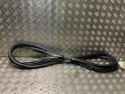 Türgummis Rechts Hinten Peugeot Expert (V1/VA/VB/VE/VF/VT/VY) Van 2.0 Blue HDi 180 16V (DW10FC(AHH))