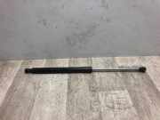 Gasdruckfeder Hinten 8200299546 Renault Clio III (BR/CR) Schrägheck 1.5 dCi 70 (K9K-768)