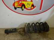 Federbein Links Vorne 1T0413031EJ Seat Altea (5P1) Gro?raumlimousine 1.9 TDI 105 (BJB)