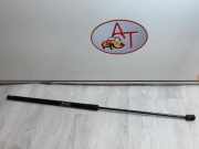 Gasdruckfeder Vorne Volkswagen Golf V (1K1) Schrägheck 1.9 TDI 4Motion (BKC) BKC