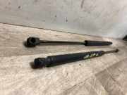 Gasdruckfeder Hinten 1683642 Ford S-Max Großraumlimousine 2.0 TDCi 16V 140 (QXWB)