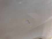 Tür Rechts Vorne 00009004AW Citroën C3 Picasso (SH) Großraumlimousine 1.4 16V VTI 95 (EP3C(8FP))