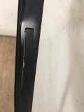 Zierleisten Dach BMW 5 serie (G30) Limousine 530e iPerformance (B48-B20A)