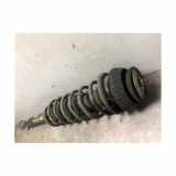 Stoßdämpfer Links Hinten 1250782 Ford StreetKa Cabrio 1.6i (CDRB) 2004