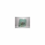 Türscheibe Links Hinten 7700430719 Renault Clio II (BB/CB) Schrägheck 1.4 (E7J-780) 2000