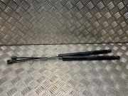 Gasdruckfeder Hinten 52090772 Fiat Tipo (356S) Limousine 1.4 16V (843.A.1000)