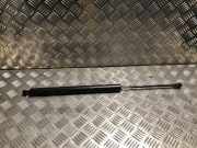 Gasdruckfeder Hinten 00008731R9 Citroën Berlingo Van 1.5 BlueHDi 100 (DV5RD(YHY))