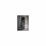 Schraubenfeder Hinten 550202782R Renault Captur (2R) SUV 0.9 Energy TCE 12V (H4B-B4) 2019
