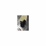 Drucksensor AIRCO 8871940020 Toyota Avensis (T25/B1D) Liftback 2.0 16V D-4D-F (1AD-FTV) 2007