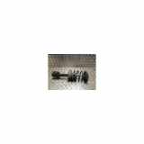 Federbein Links Vorne 543021082R Renault Megane Scénic (JA) Großraumlimousine 1.6 RT (K7M-702) 1998