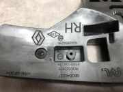 Türgriff Außen Rechts Vorne STEUN 806065425R Renault Clio V (RJAB) Schrägheck 5-drs 1.0 TCe 90 12V (H4D-470(H4D-E4))