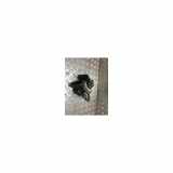 Motorhalter Rechts 21825D3300 Hyundai Tucson (TL) SUV 1.7 CRDi 16V 2WD (D4FD) 2016