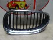 Grill Zierliste Links Vorne 51137027061 BMW 5 serie (E60) Limousine 530d 24V (M57N-D30(306D2)) 2003