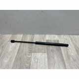 Gasdruckfeder Rechts Hinten 7700842256 Renault Clio II (BB/CB) Schrägheck 1.5 dCi 65 (K9K-700) 2003