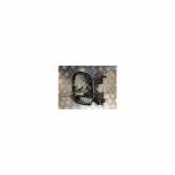 Außenspiegel Links 7701473241 Renault Trafic New (FL) Van 2.0 dCi 16V 90 (M9R-780) 2009