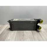 Ladeluftkühler 00000384N9 Citroën CITROEN C4 2 PHASE 1 1.6 HDI - 8V TURBO 2013