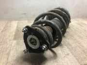 Federbein Rechts Vorne 1466421 Ford Transit Van 2.2 TDCi 16V (P8FA)