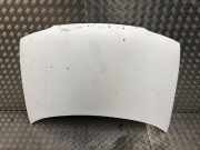 Motorhaube 00007901G0 Citroën Berlingo Van 1.9 Di (DW8B(WJY))