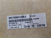 Verkleidung Himmel 96780615BJ Citroën C4 Picasso (3D/3E) Großraumlimousine 1.6 e-Hdi, BlueHDi 115 (DV6C(9HC))