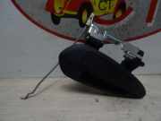 Türgriff Außen Rechts Vorne 0000735498779 Fiat Grande Punto (199) Schrägheck 1.2 Euro 4 (199.A.4000)