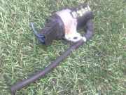 Scheibenwaschpumpe Hinten Mazda MX-5 (NA18/35/6C/8C) Cabrio 1.6i 16V (B64F)