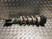 Federbein Rechts Vorne 543025946R Renault Trafic (1FL/2FL/3FL/4FL) Van 1.6 dCi 95 (R9M-413)