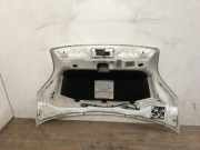 Motorhaube 7901Q0 Peugeot Bipper (AA) Van 1.4 HDi (DV4TED(8HS))