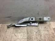 Motorhaubescharnier Citroën C4 Cactus (0B/0P) Schrägheck 5-drs 1.6 Blue Hdi 100 (DV6FD(BHY))