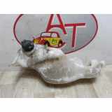 Scheibenwaschbehälter 289106925R Dacia Lodgy (JS) Großraumlimousine 1.5 dCi FAP (K9K-R8) 2012