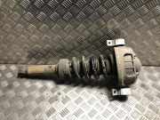 Stoßdämpfer Links Hinten 4L0513029C Audi Q7 (4LB) SUV 3.0 TDI V6 24V (BUG)