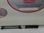 Gasdruckfeder Hinten 7774707 Fiat Bravo (182A) Schrägheck 3-drs 1.9 JTD (182.B.9000)