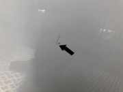 Tür Links Vorne 2595358 Ford Transit Courier Van 1.5 TDCi 75 (XWCB)