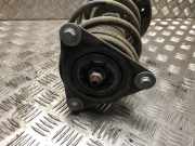 Federbein Links Vorne 543025418R Renault Megane IV (RFBB) Schr?gheck 5-drs 1.5 Energy dCi 110 (K9K-656(K9K-G6))