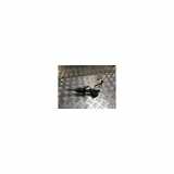 Kupplungsheberzylinder 55579997 Opel Insignia Sports Tourer Kombi 2.0 CDTI 16V 160 Ecotec (A20DTH) 2013