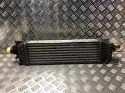 Ladeluftkühler 1359245 Ford Fusion Kombi 1.6 TDCi (HHJB)