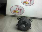 Nebelscheinwerfer Rechts Vorne 8200074008 Renault Scénic II (JM) Großraumlimousine 1.9 dCi 120 (F9Q-812)