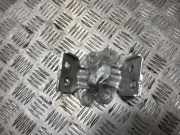 Türscharnier ACHTERDEUR LINKS 804209726R Dacia Sandero II Schrägheck 0.9 TCE 12V (H4B-400(H4B-A4))