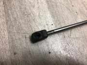 Gasdruckfeder Vorne Volkswagen New Beetle (1Y7) Cabrio 1.4 16V (BCA) BCA