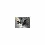 Verteilergetriebe 4X4 331000153R Dacia Duster (HS) SUV 1.5 dCi 4x4 (K9K-858(Euro 5)) 2014