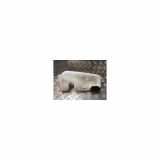 Scheibenwaschbehälter 8200609549 Dacia Duster (HS) SUV 1.5 dCi 4x4 (K9K-858(Euro 5)) 2014