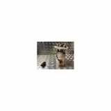 Kraftstoffpumpe DOMPELPOMP 8200841249 Renault Kangoo Express (FW) Van 1.5 dCi 85 (K9K-802) 2011