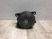 Nebelscheinwerfer Links Vorne 8200074008 Renault Grand Scénic III (JZ) Großraumlimousine 1.5 dCi 110 (K9K-N837(Euro 5))