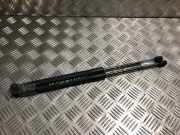 Gasdruckfeder Hinten 5M0827550A Volkswagen Golf V (1K1) Schrägheck 2.0 TDI DPF (BMM) BMM